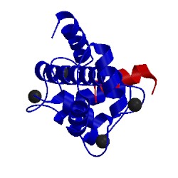 Image of CATH 5dbr