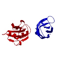 Image of CATH 5dc0