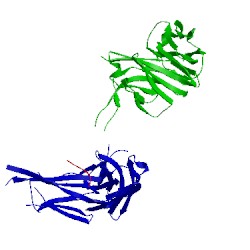 Image of CATH 5dd6