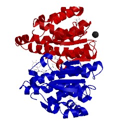 Image of CATH 5ddl