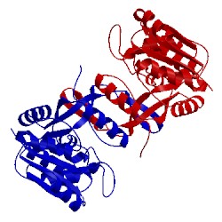 Image of CATH 5ddt