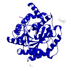 Image of CATH 5del