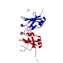 Image of CATH 5det