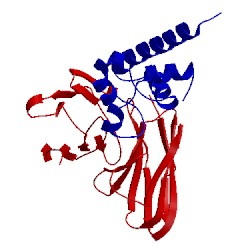 Image of CATH 5dfw