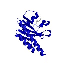Image of CATH 5dfx