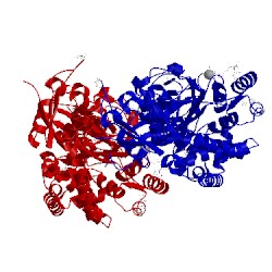 Image of CATH 5dgk