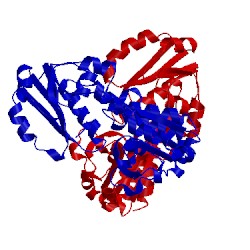 Image of CATH 5dh2