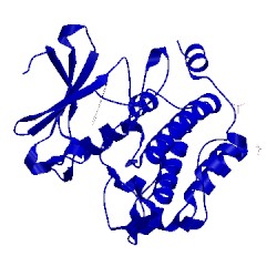 Image of CATH 5dhj