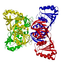 Image of CATH 5dhr