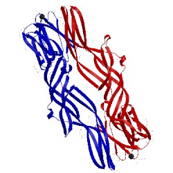 Image of CATH 5di0