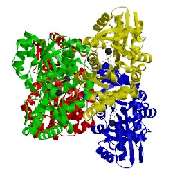 Image of CATH 5dj1