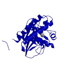 Image of CATH 5djj