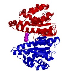 Image of CATH 5djm