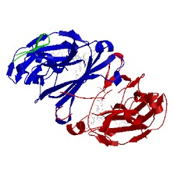 Image of CATH 5djy