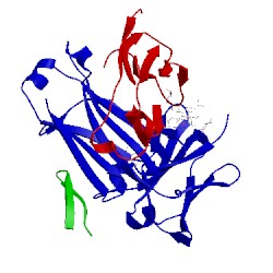 Image of CATH 5djz
