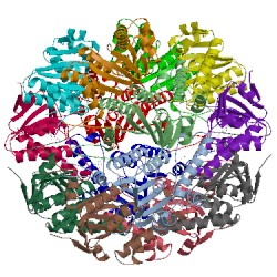 Image of CATH 5dl1