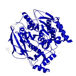 Image of CATH 5dlp
