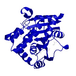 Image of CATH 5dm2