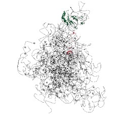 Image of CATH 5dm6