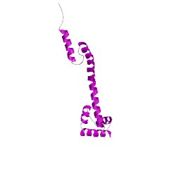 Image of CATH 5dm6N