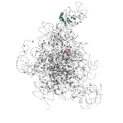 Image of CATH 5dm7