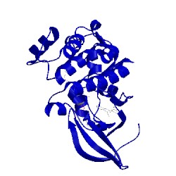 Image of CATH 5dn3