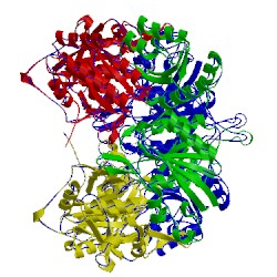 Image of CATH 5dne