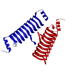 Image of CATH 5dns