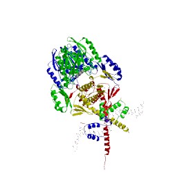 Image of CATH 5dny