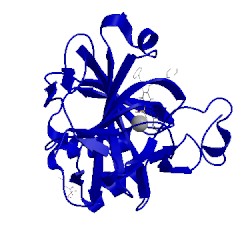 Image of CATH 5dog