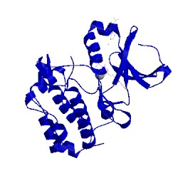 Image of CATH 5dos