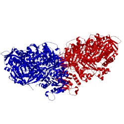 Image of CATH 5dot