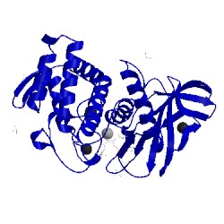 Image of CATH 5dpf