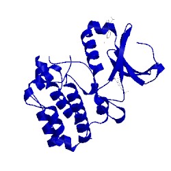 Image of CATH 5dpv