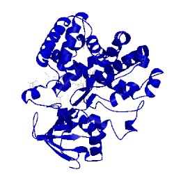 Image of CATH 5dqn