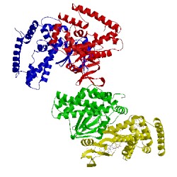 Image of CATH 5dqu