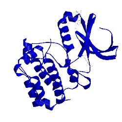 Image of CATH 5dr9