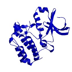 Image of CATH 5drd