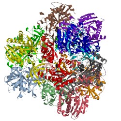 Image of CATH 5ds0