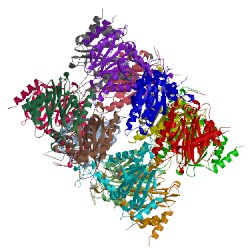 Image of CATH 5dsv