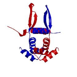 Image of CATH 5dtd