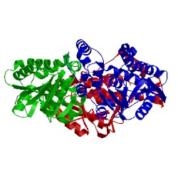 Image of CATH 5dtp