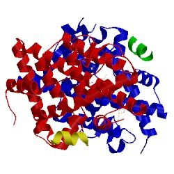 Image of CATH 5du5