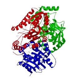 Image of CATH 5du8