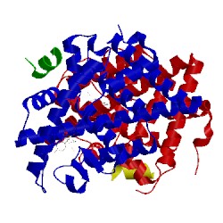 Image of CATH 5due