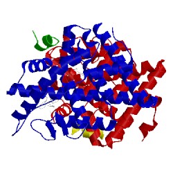 Image of CATH 5duh