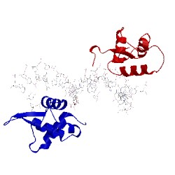 Image of CATH 5dui