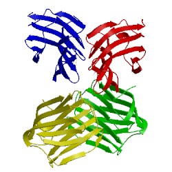 Image of CATH 5duu