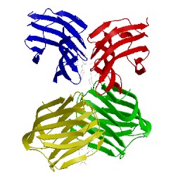 Image of CATH 5duw