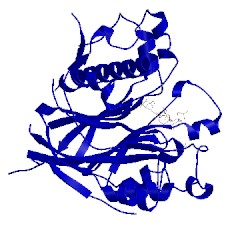 Image of CATH 5dv4